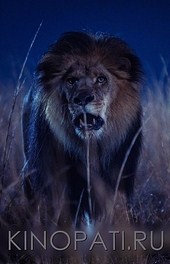 Сериал Зверинец 2 сезон (2016) Сериал Зверинец 2 сезон (2016)